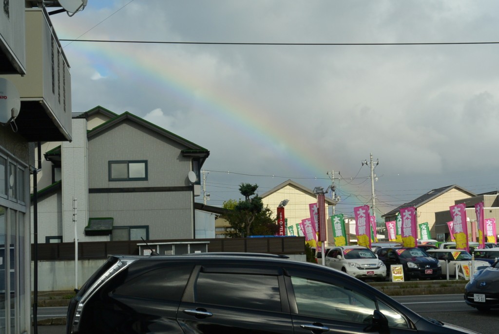 DSC_5417