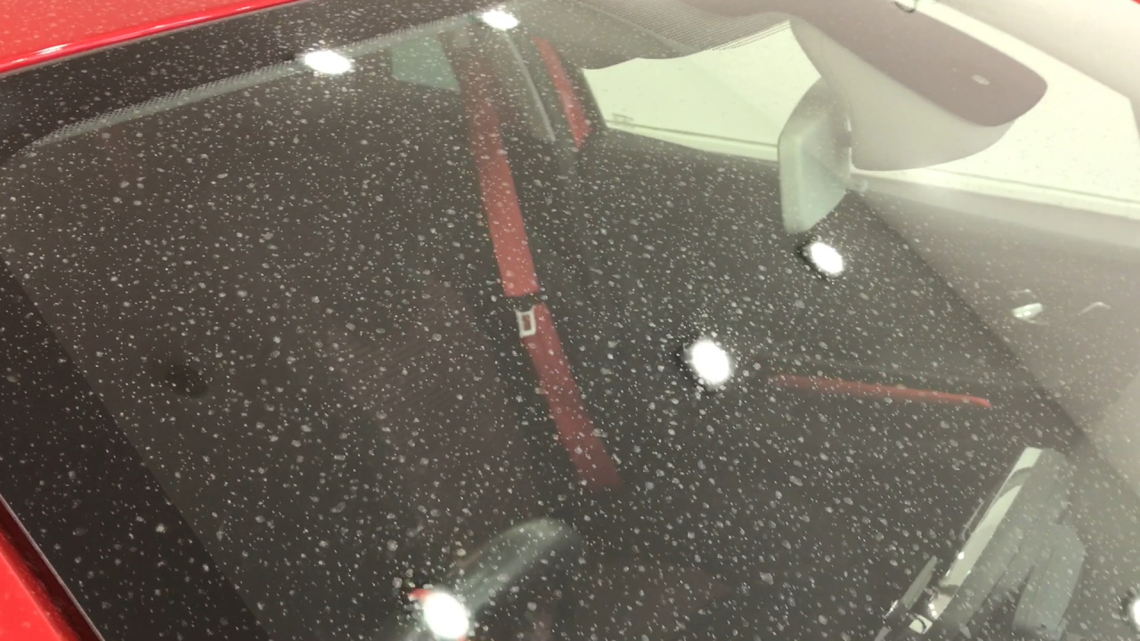 花粉が降った朝の20分簡単洗車
